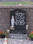 DSC06713, WALSH.JPG